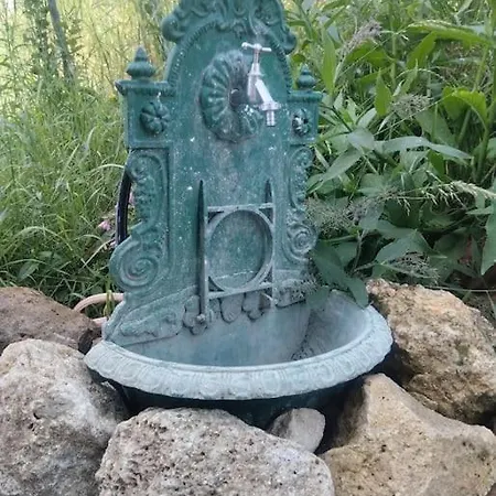 Nature In The
