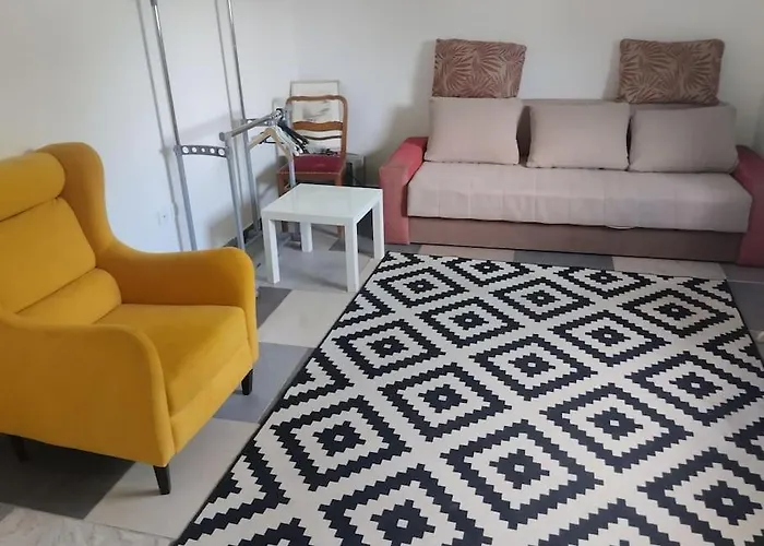 Salter 베오그라드